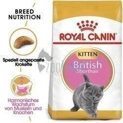 ROYAL CANIN British Shorthair Kitten 10kg + Überraschung für die Katze