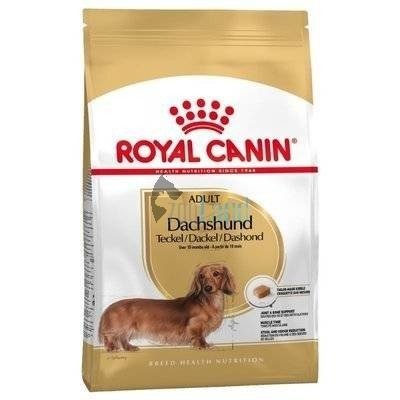 ROYAL CANIN Dachshund 1,5kg+Überraschung für den Hund