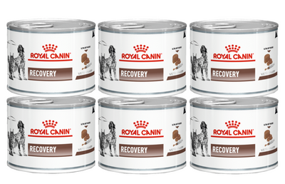 ROYAL CANIN Recovery 6x195g