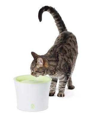 Catit Trinkbrunnen für Katzen und kleine Hunde, 3 Liter, grün