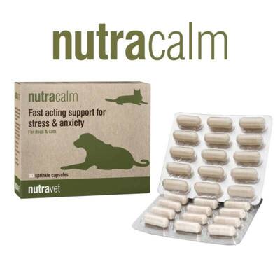 NUTRAVET Nutracalm für Hunde & Katzen 60 Kapseln- für Beruhigung, schnell wirkende Unterstützung bei Stress und Ängsten