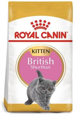 ROYAL CANIN British Shorthair Kitten 400g + Überraschung für die Katze