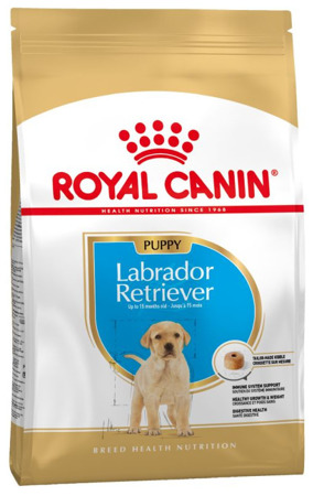 ROYAL CANIN Labrador Retriever Junior 12kg+Überraschung für den Hund