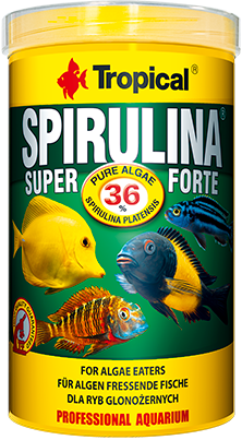 TROPICAL Super Spirulina Forte 1000ml