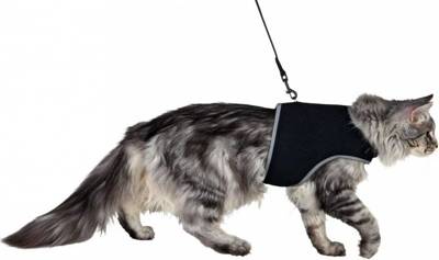 Trixie Cat Harness mit einer X-Cat Leine