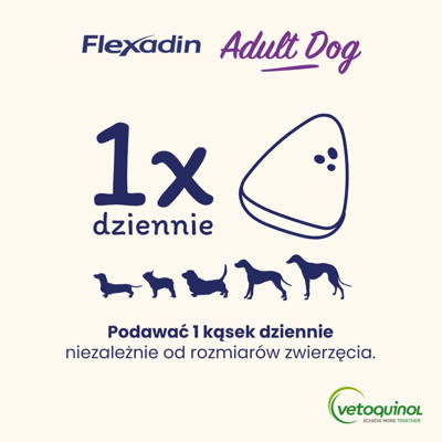 VETOQUINOL Flexadin Adult Dog 60 Häppchen