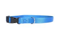 DogStuffs Halsband mit Kunststoffschnalle 20mm/30-55cm blau