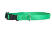 DogStuffs Halsband mit Kunststoffschnalle 20mm/30-55cm grün